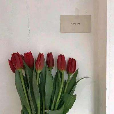 傲世群侠游戏下载